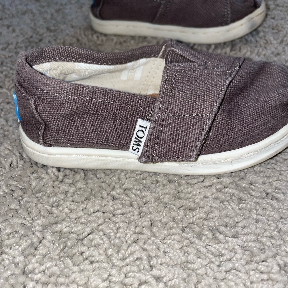 Toddler brown TOMS size us 6